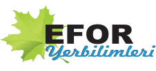 Efor Yer Bilimleri Müh. Dan. Lab. Hiz. İnş. San. ve Tic. Ltd. Şti.